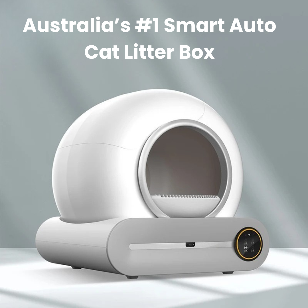 65L Auto Smart Cat Litter