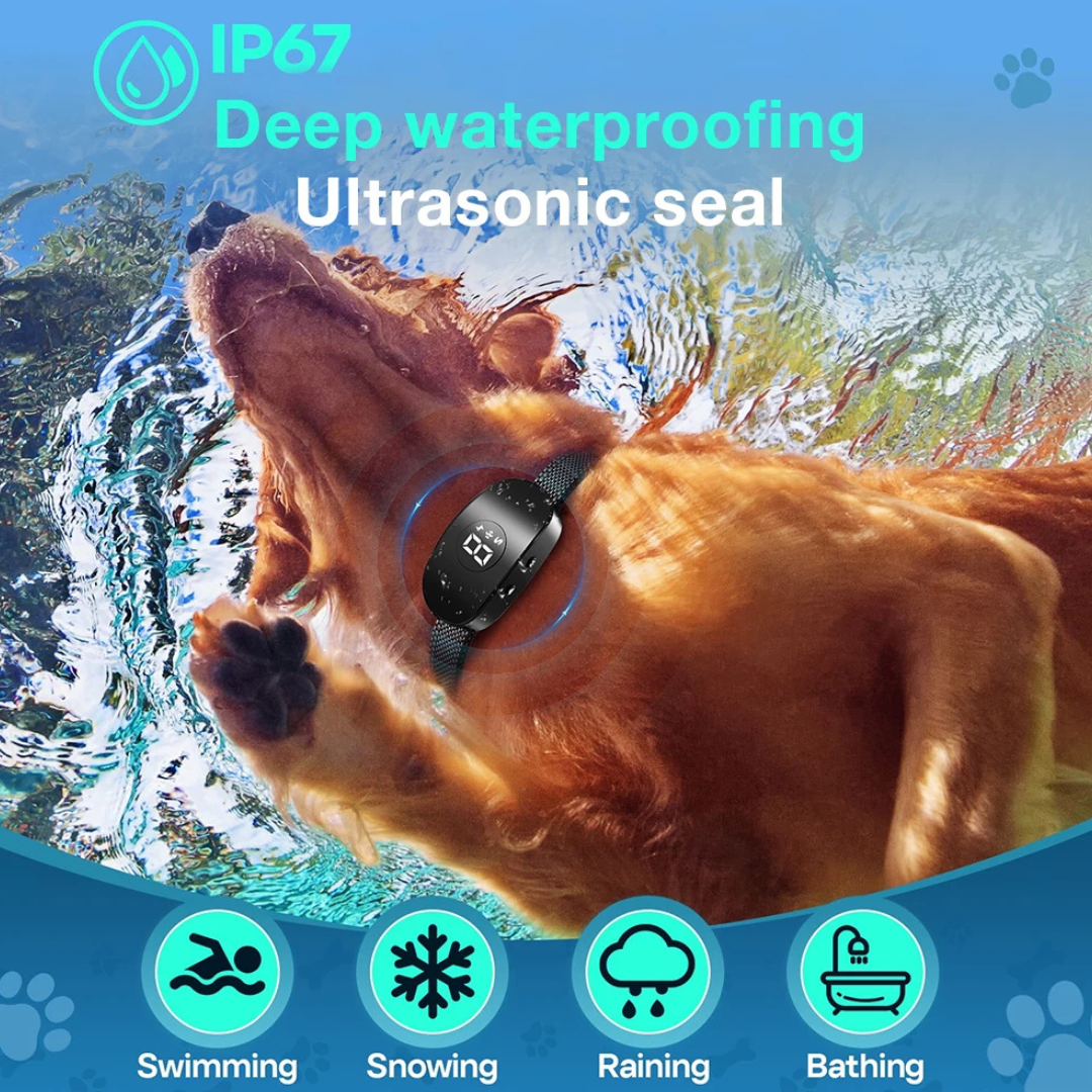 Anti Barking Dog collar