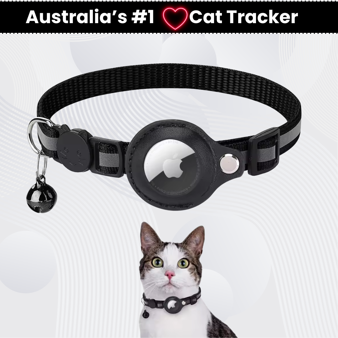 GPS Cat Tracking Collar