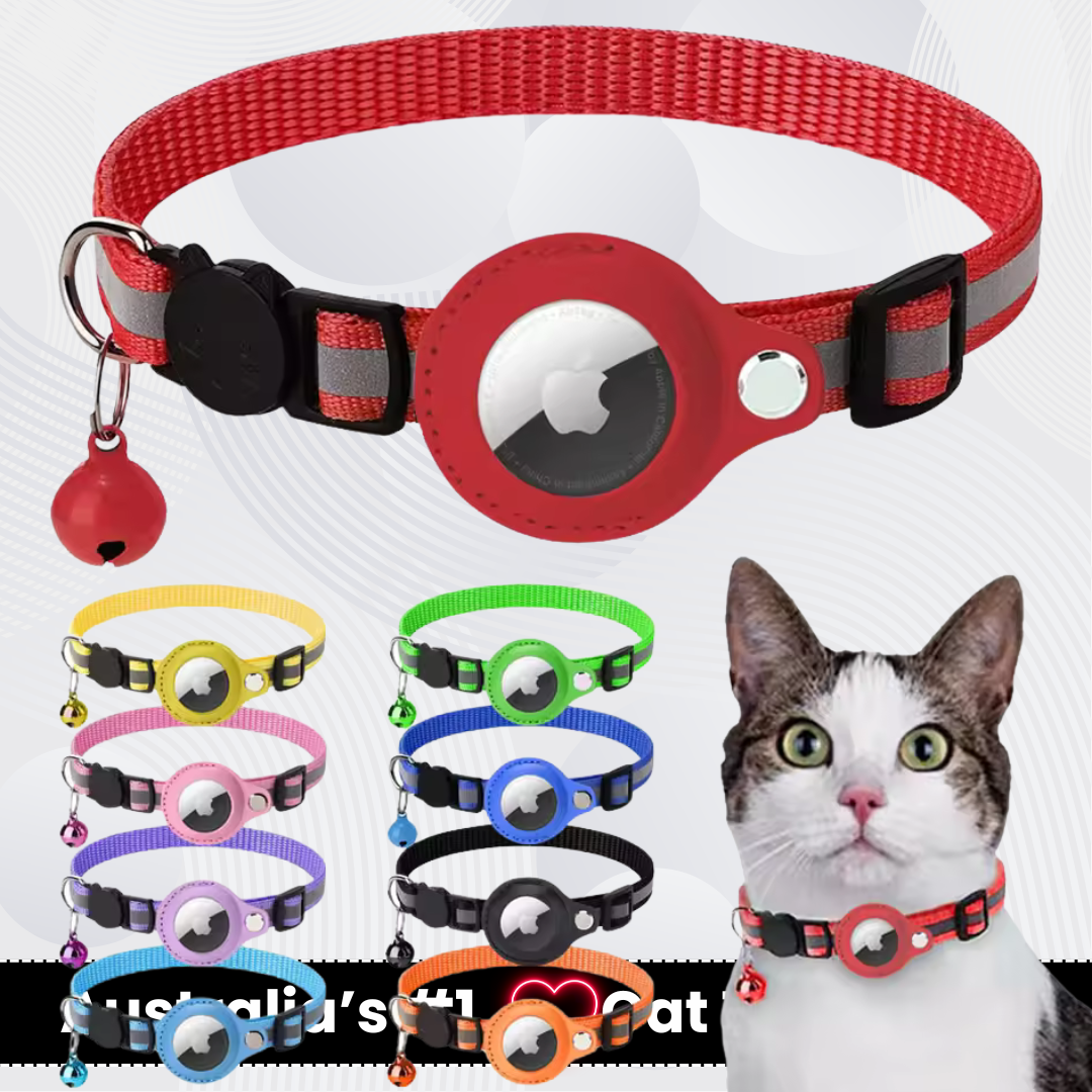 GPS Cat Tracking Collar