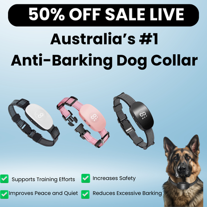 Anti Barking Dog collar